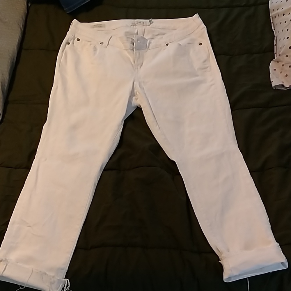 Torrid White Capri